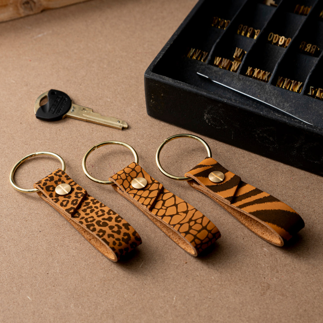 Novum Organum leather keychain