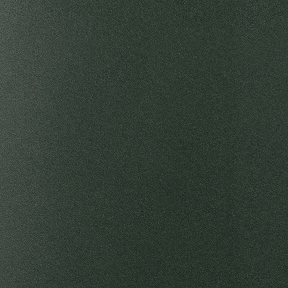 Cuir vert pin de La Compagnie du Kraft