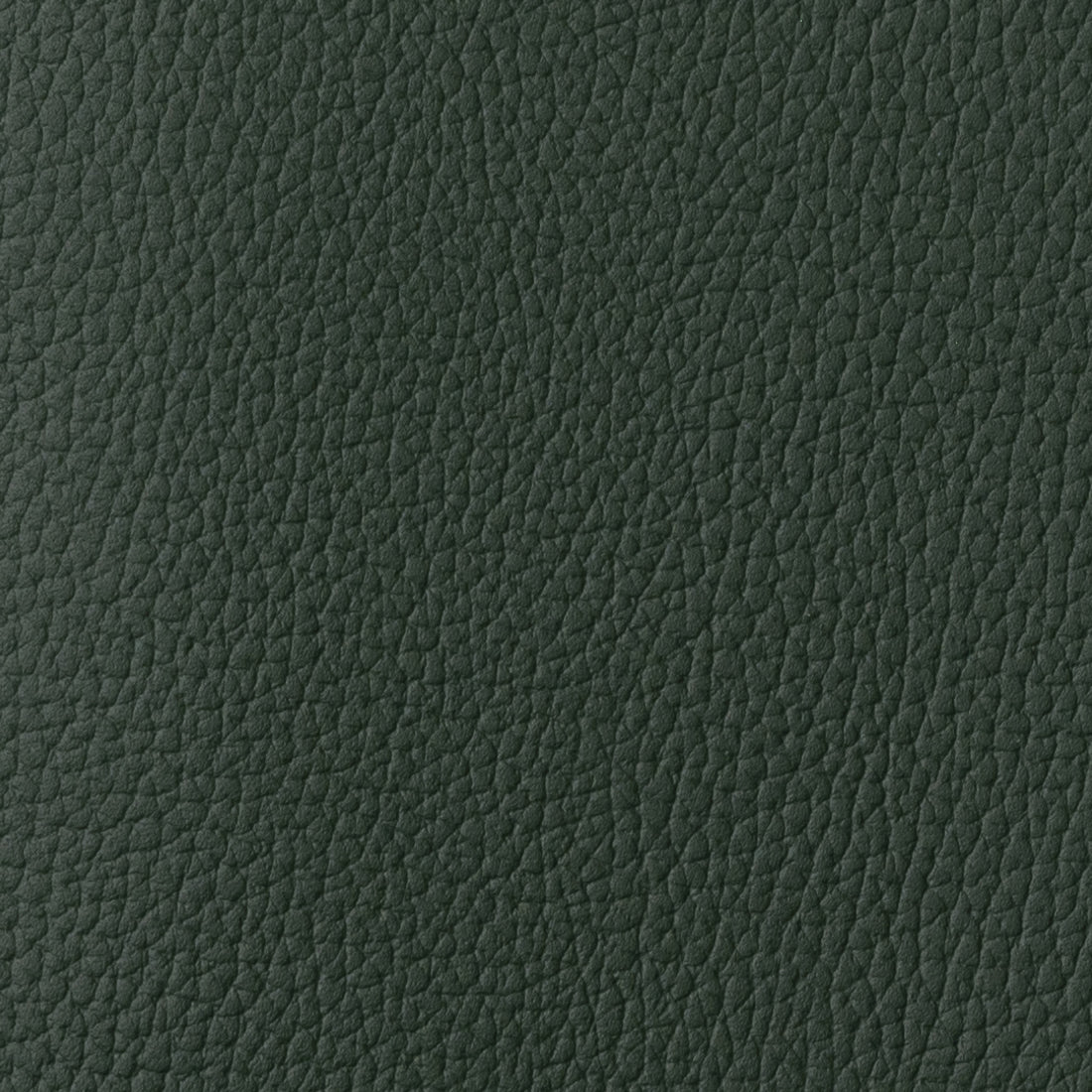 Cuir vert pin grainé de La Compagnie du Kraft