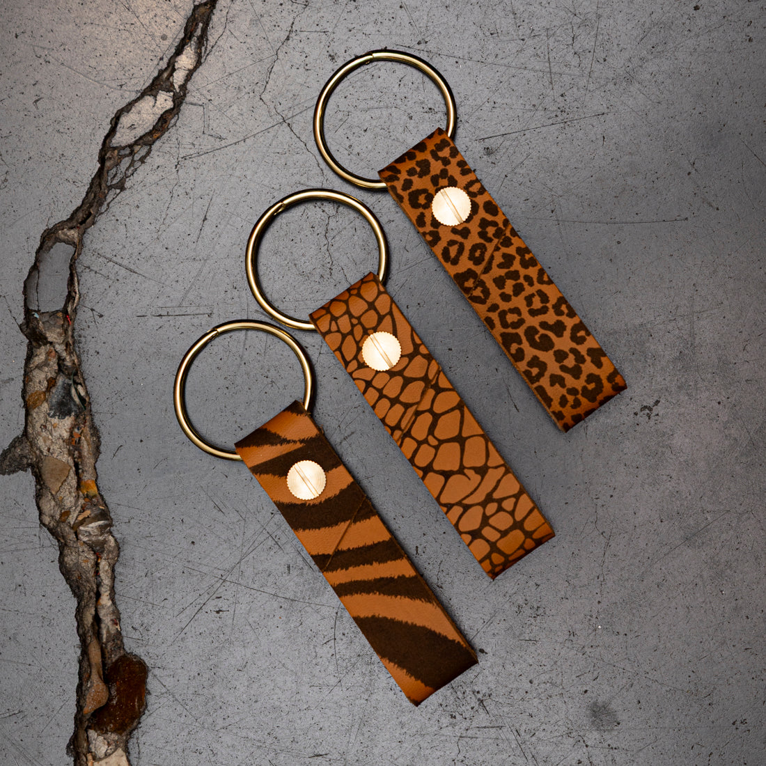 Novum Organum leather keychain