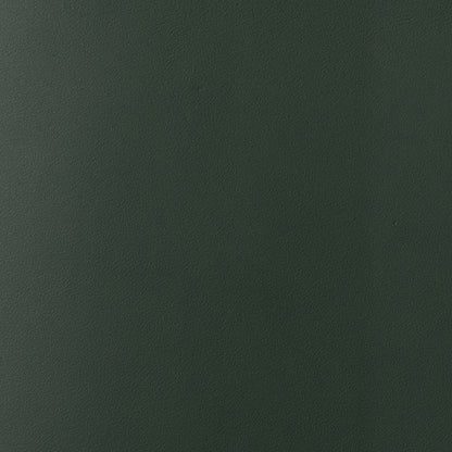 Cuir vert pin de La Compagnie du Kraft
