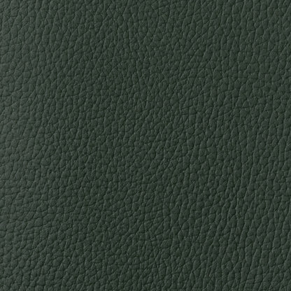 Cuir vert pin grainé de La Compagnie du Kraft
