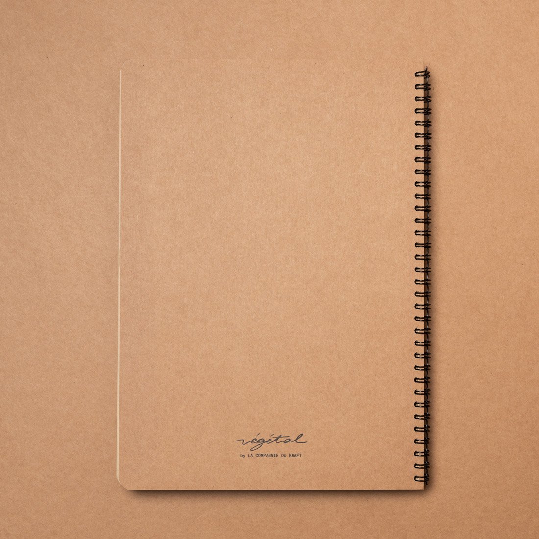 Carpenter's notebook (fieldnotes)