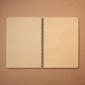 Carpenter's notebook (fieldnotes)